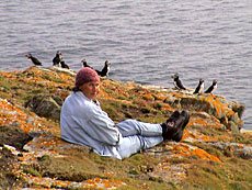 Lene og puffins