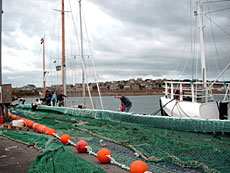 Fiskere repererer garn i Kirkwall