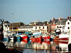 Fiskerbåde i Stornoway