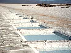 Saltbassiner