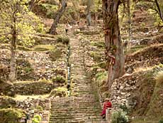 Trappen op til landsbyen Cha´llapampa