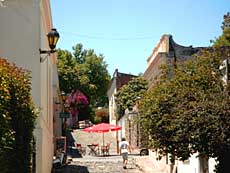 Colonia
