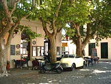 Colonia
