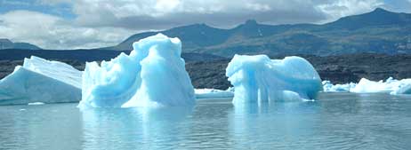 Isbjerge i Upsala fjorden