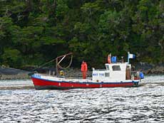 I området her var en del fiskebåde