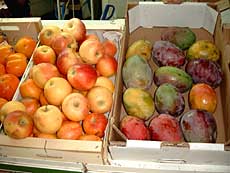 Kaki, æbler og mangofrugter