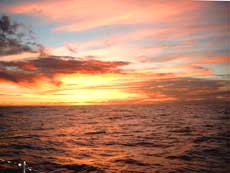 Solnedgang