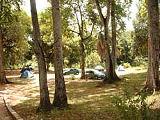 Campingpladsen